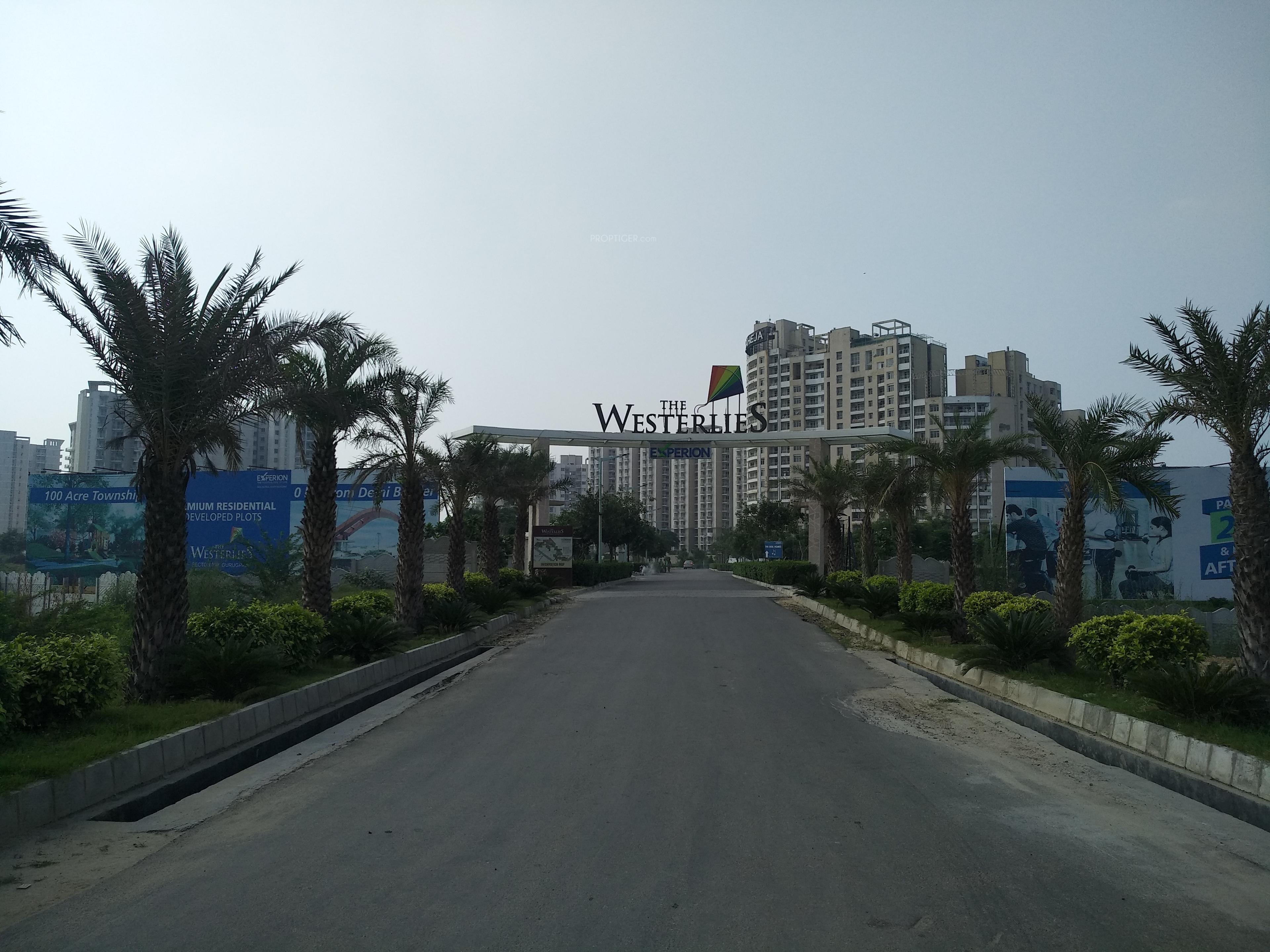 the-westerlies-plots Images for Project