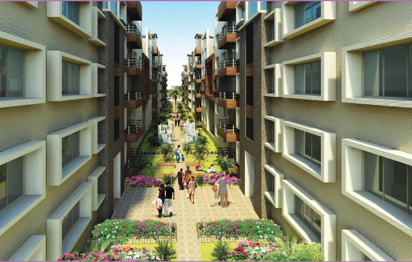 orchid Images for Elevation of Lifestyle Lifestyle Orchid