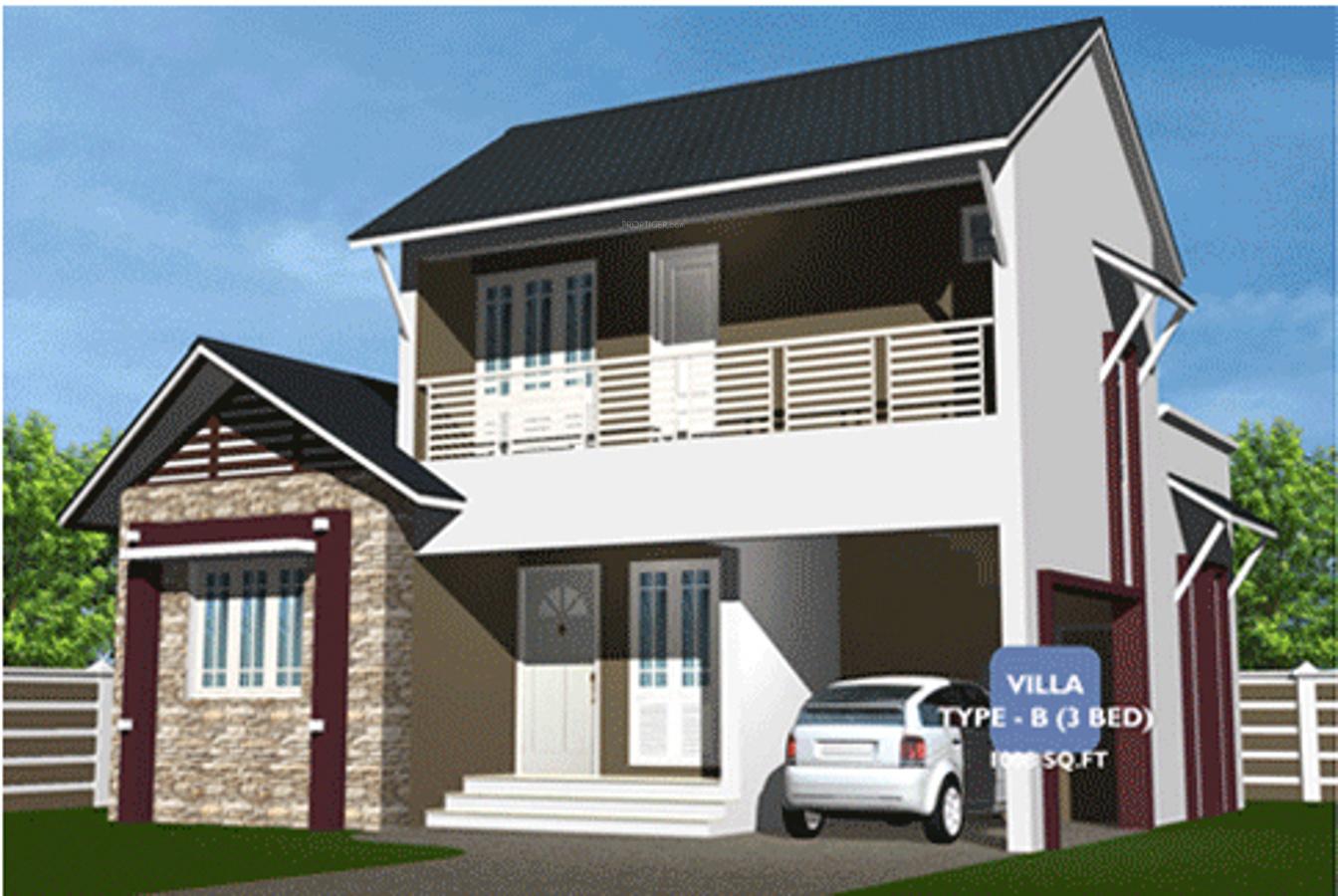 blue-berry Elevation
