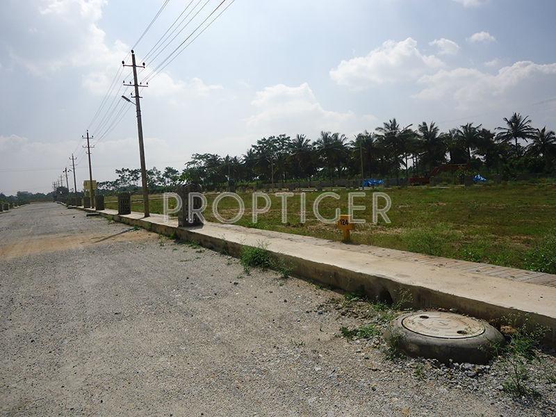 sri-sai-nagar Images for Elevation of Max Concorde Sri Sai Nagar