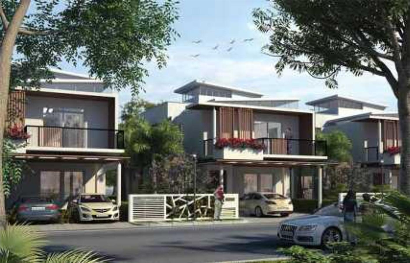 smiling-willows Images for Elevation of Purva The Sound of Water