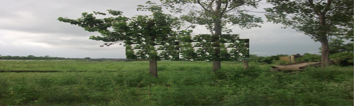 maurya-builders-and-developers sundram-dham Elevation