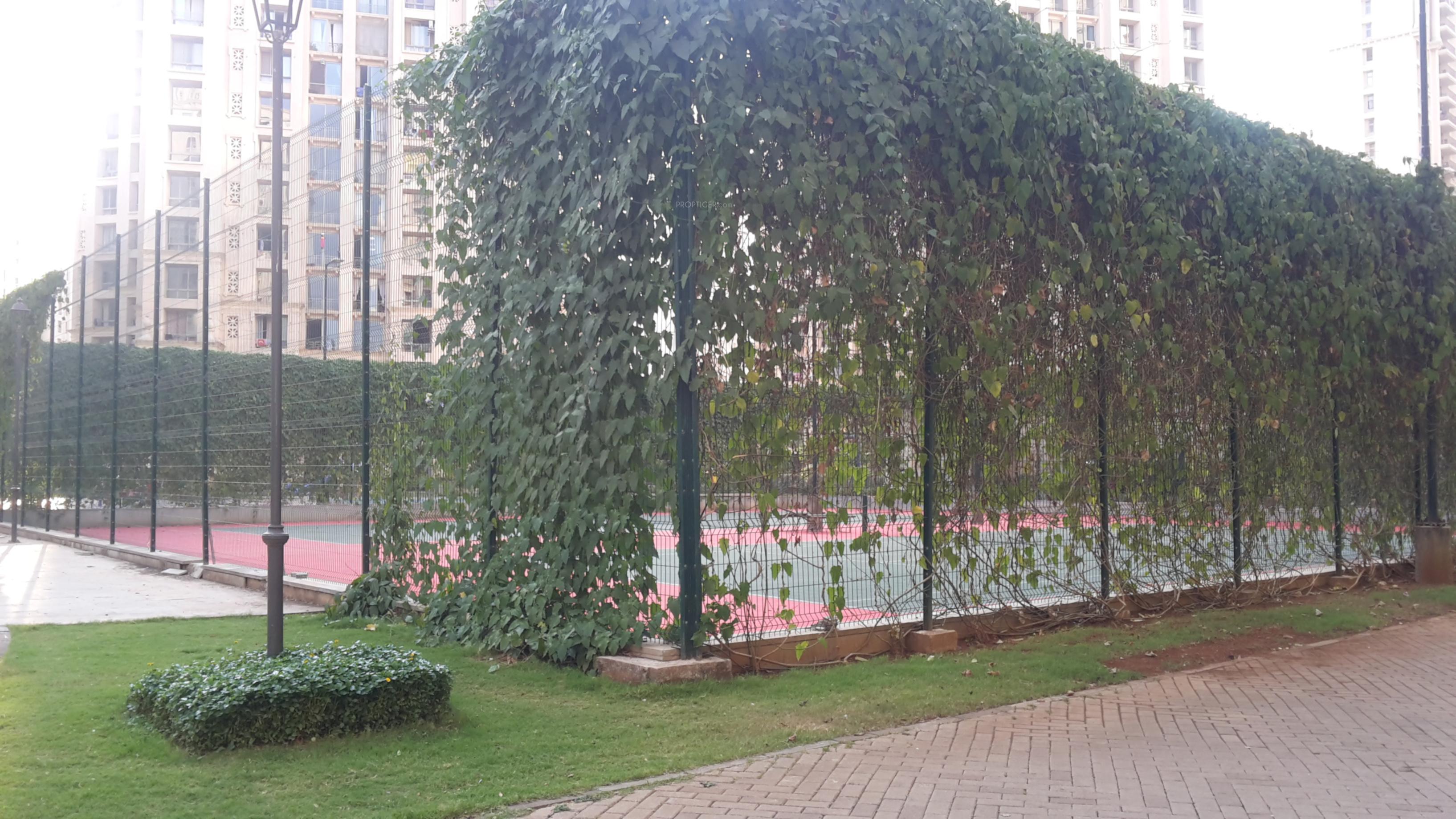 tiara Images for Project