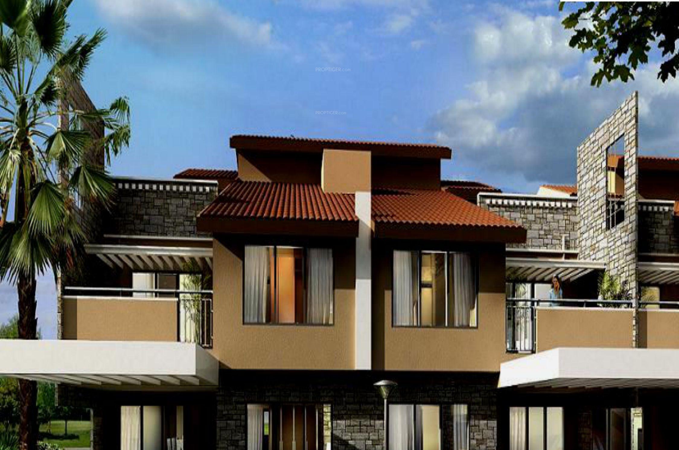 new-haven-crest Elevation