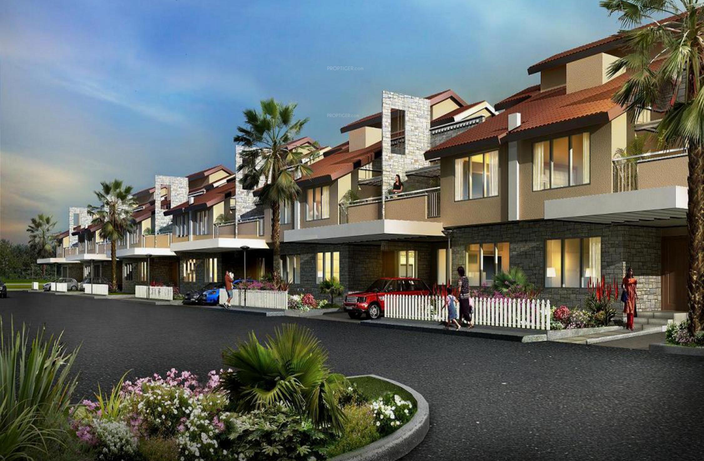 new-haven-crest Elevation