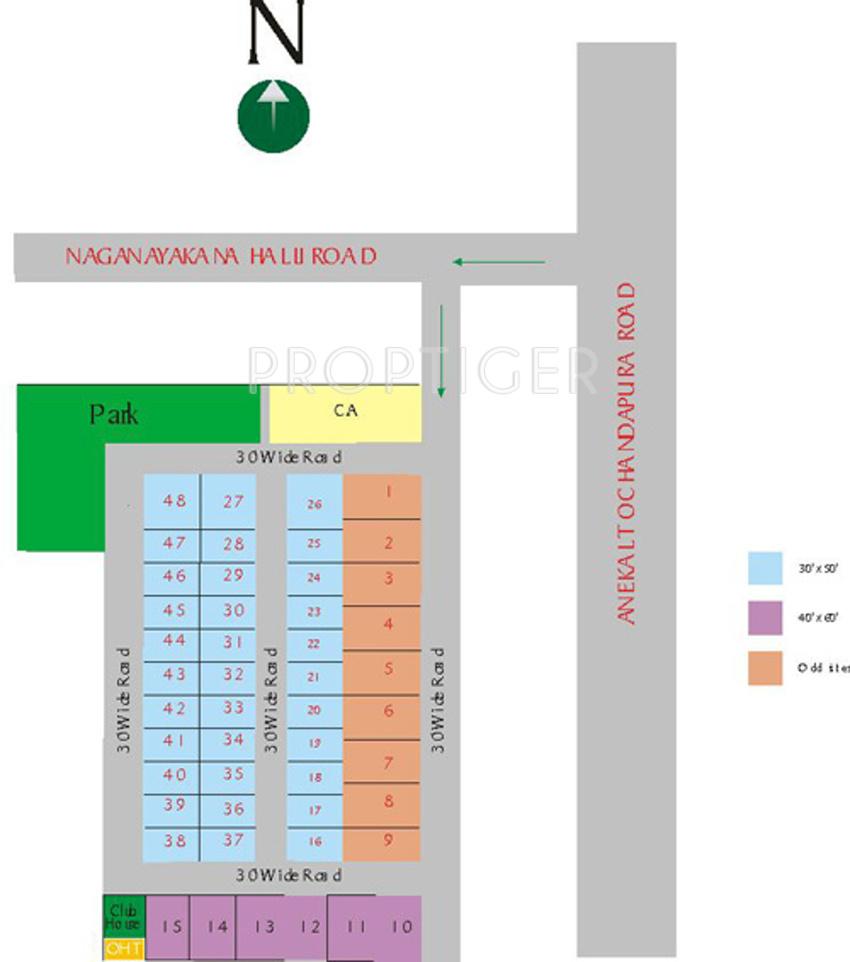 Images for Layout Plan of Fountain Olive