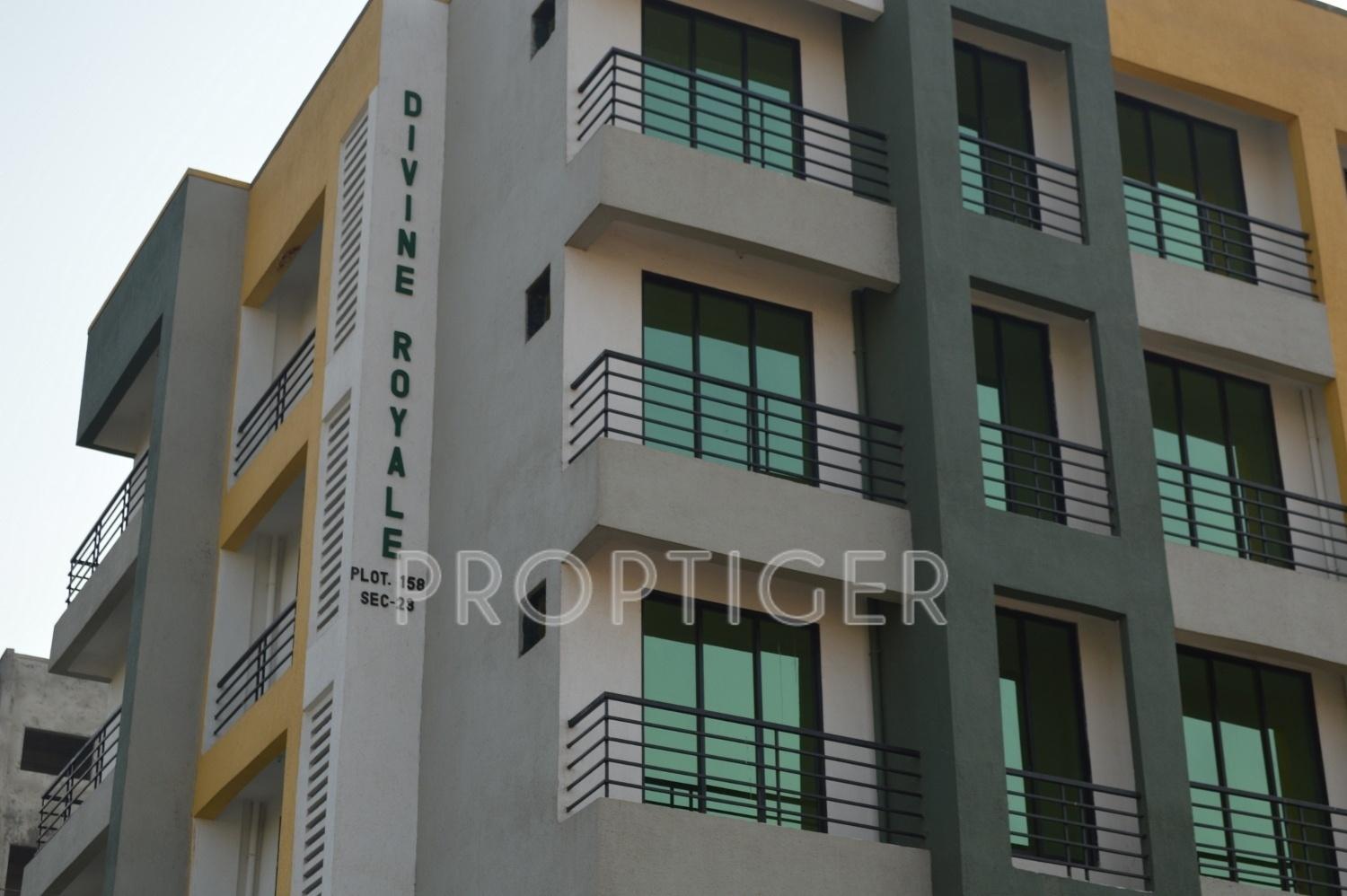 Images for Elevation of Radiance Divine Royale