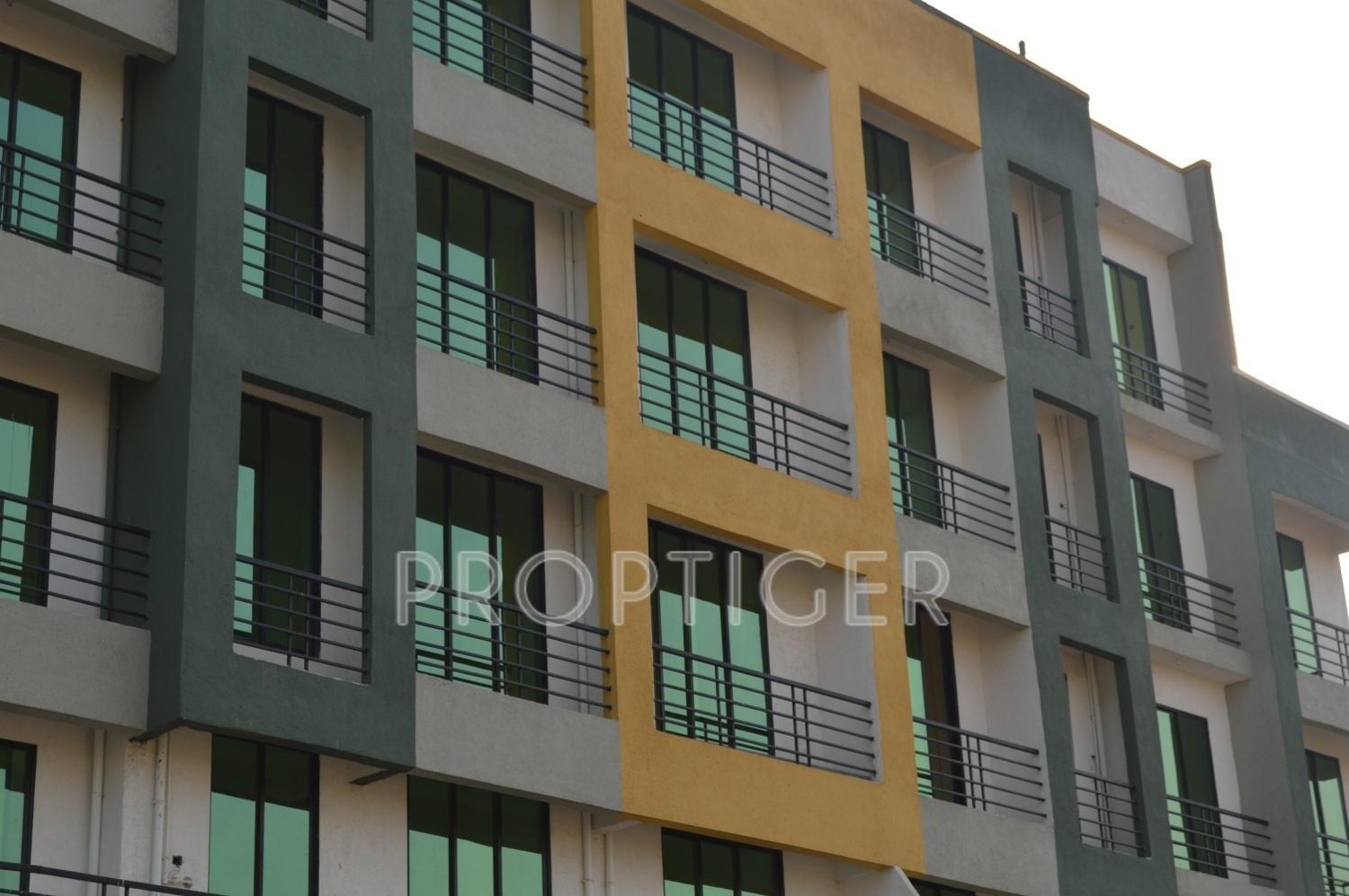 Images for Elevation of Radiance Divine Royale