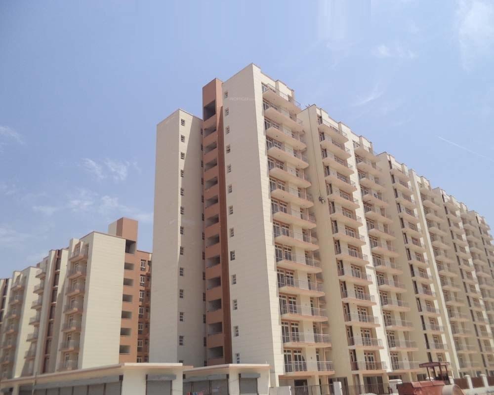 platinum-plus Elevation