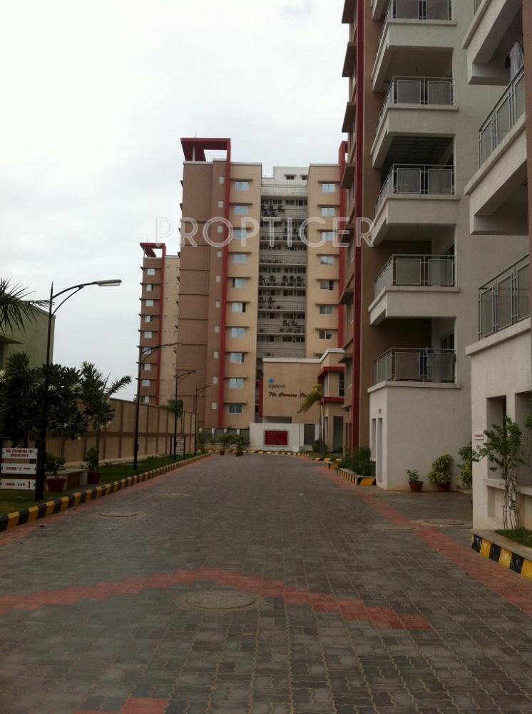 crimson-dawn Images for Elevation of Pricol Crimson Dawn