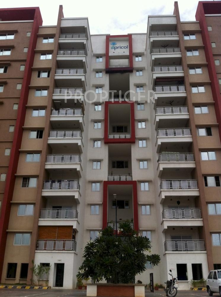 crimson-dawn Images for Elevation of Pricol Crimson Dawn