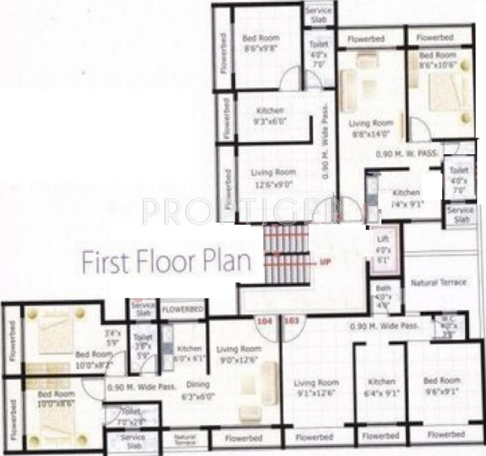 skyline-builders-and-developers gold Gold Cluster Plan for 1st Floor