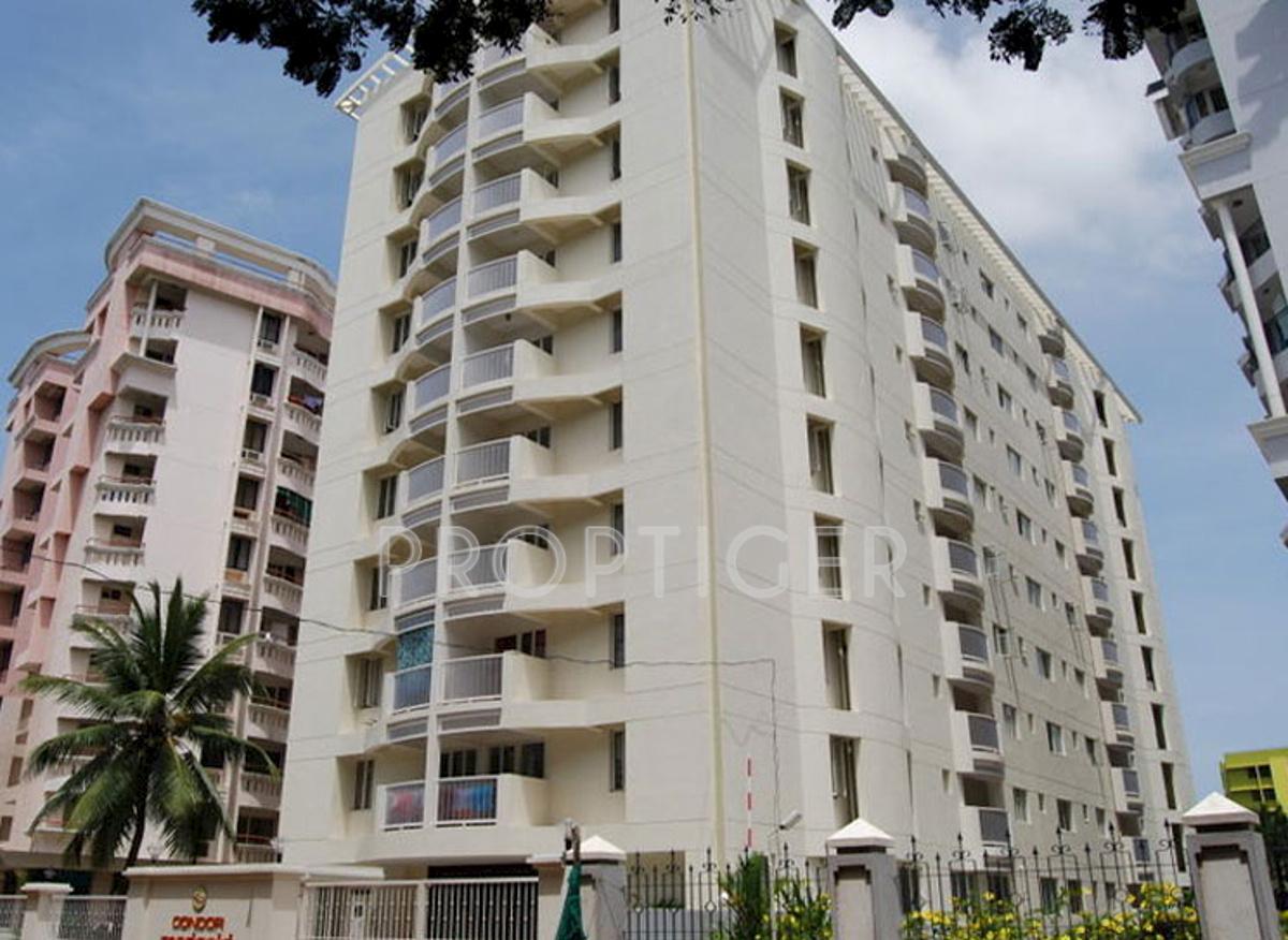 marigold Images for Elevation of Condor Builders Pvt Ltd Marigold