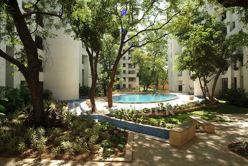 Images for Elevation of Rohan 1 Modibaug