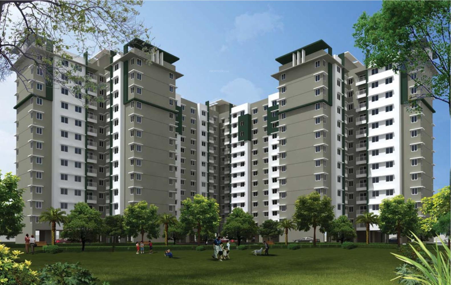 rays-of-dawn Images for Elevation of Provident Rays of Dawn