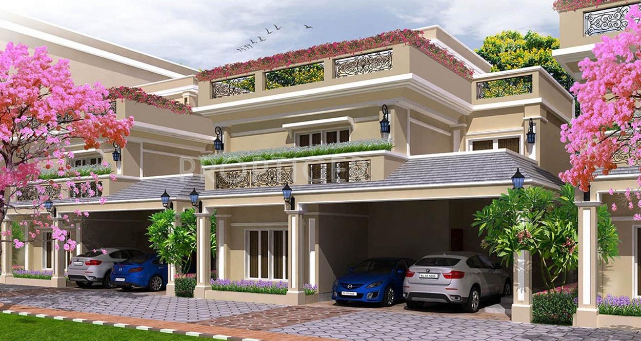 Arcot Vaksana