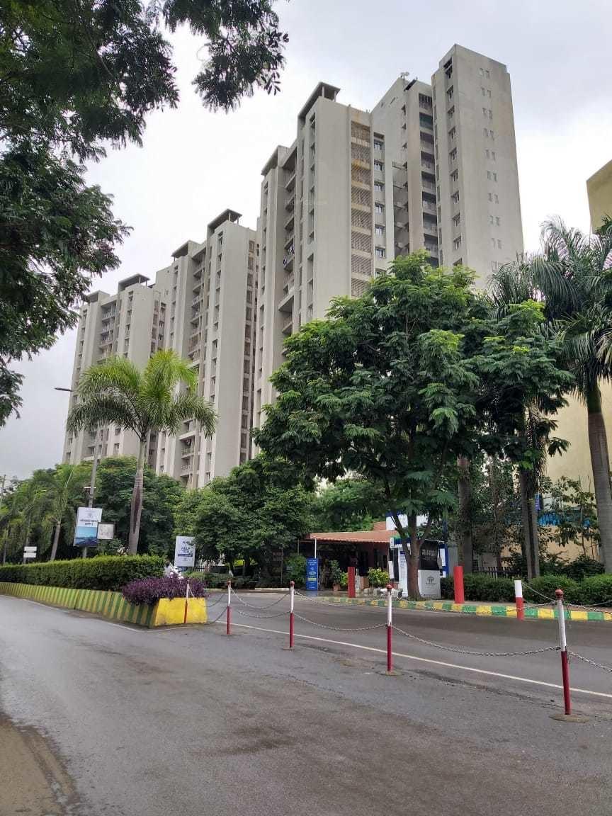 tower-15-to-17 Elevation