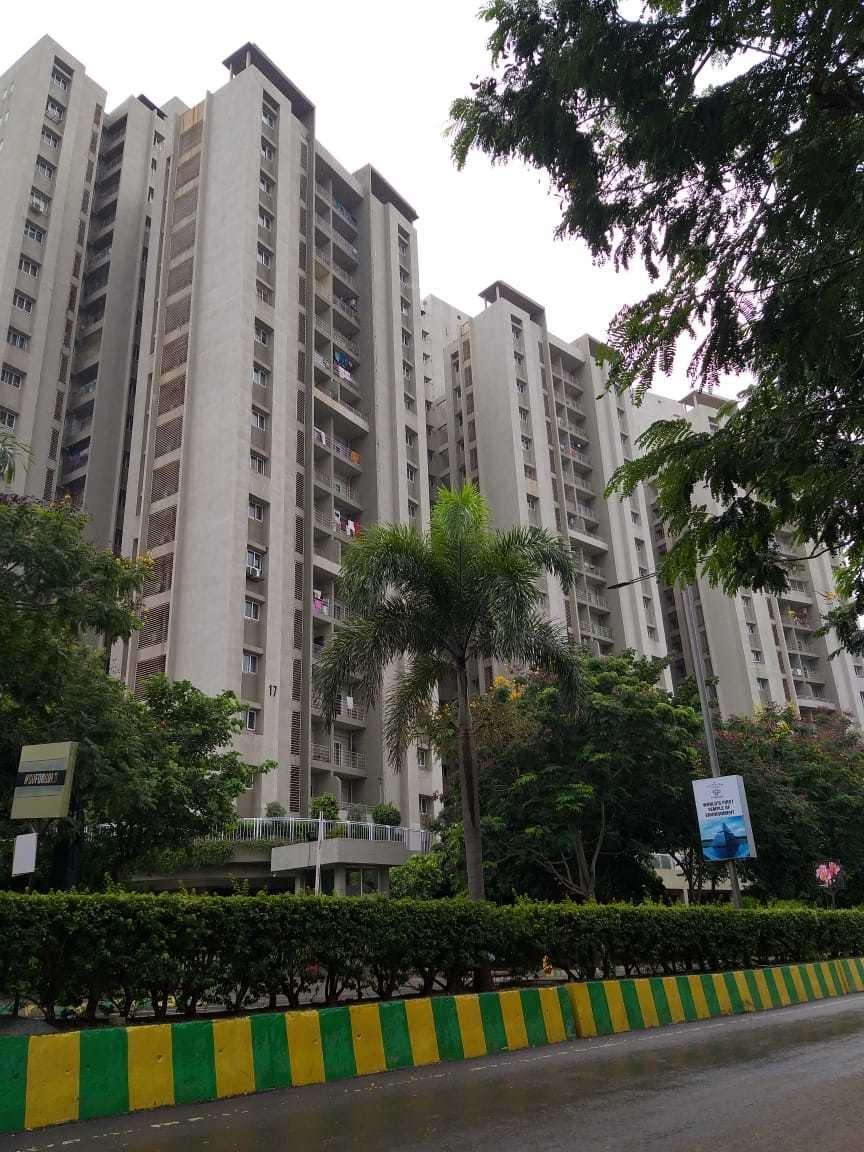 tower-15-to-17 Elevation