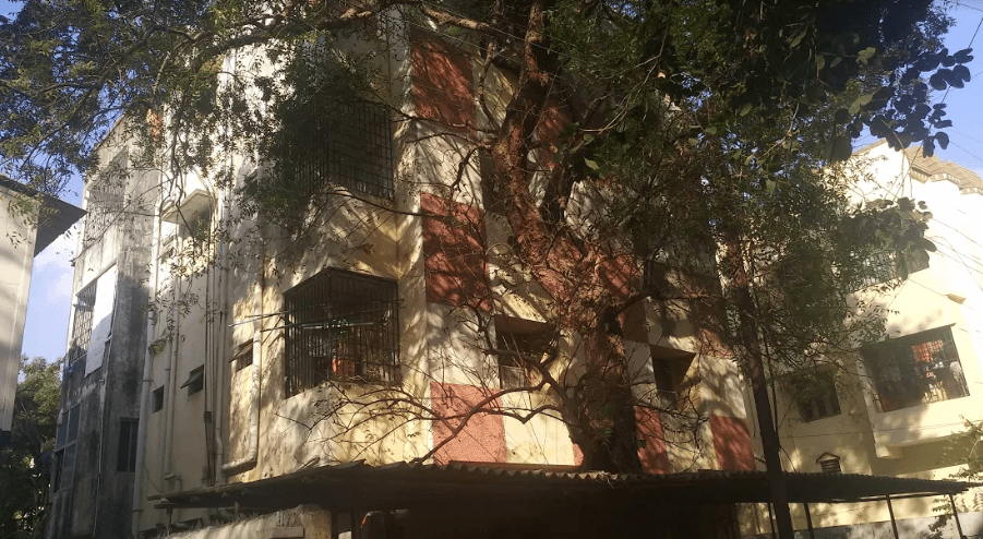 alvernia Elevation