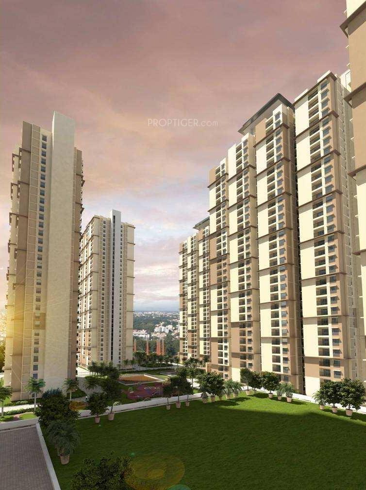 high-fields Images for Elevation of Prestige High Fields