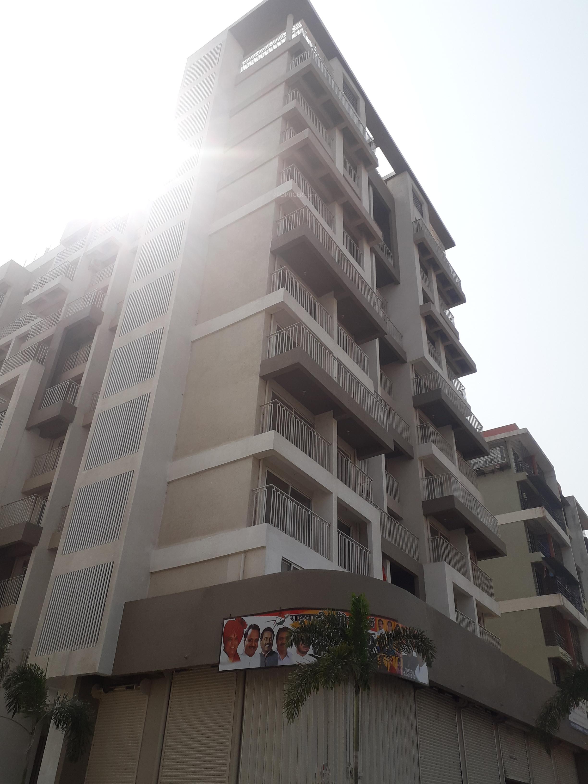 Images for Elevation of Sea Star