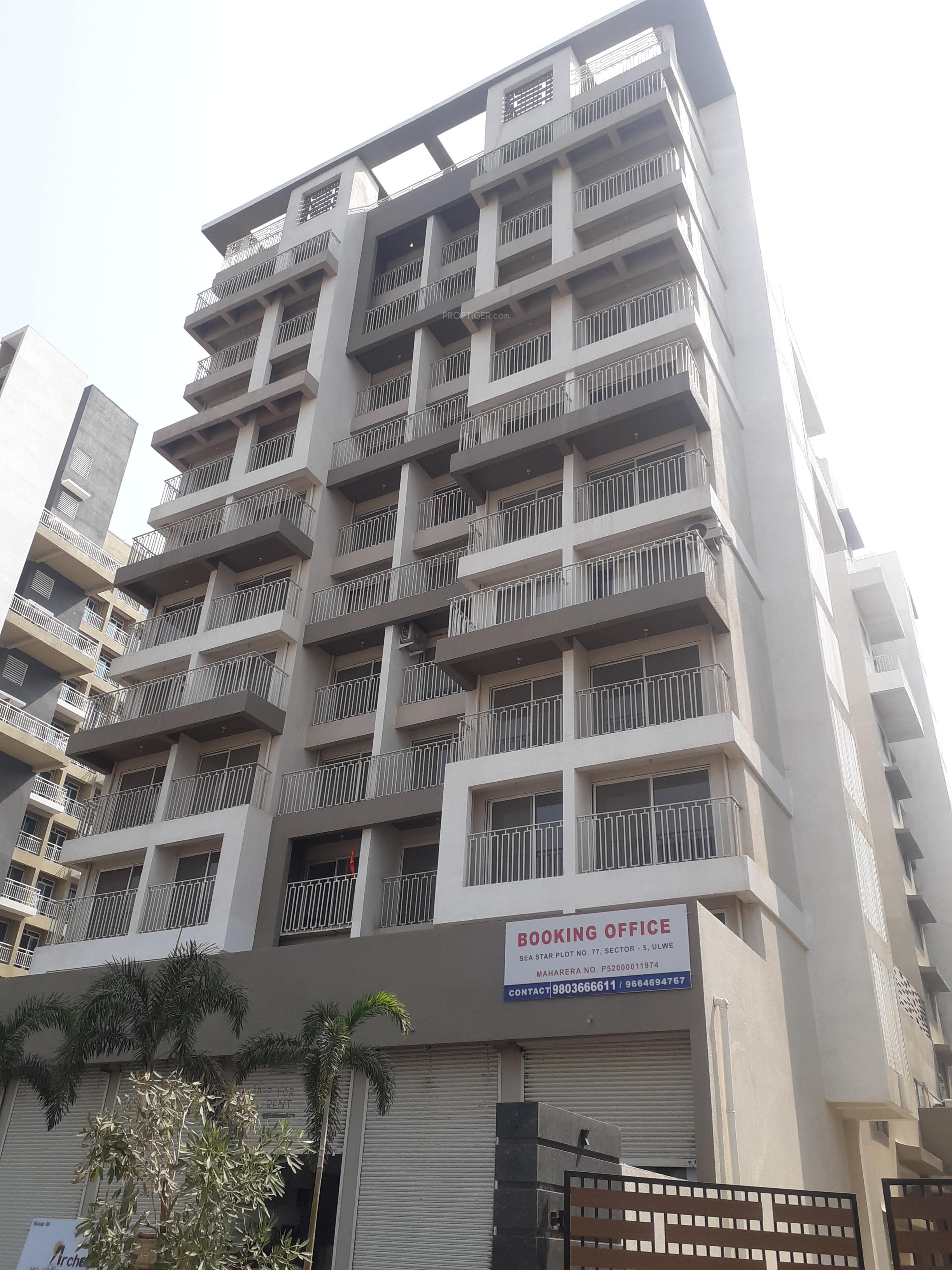 Images for Elevation of Sea Star