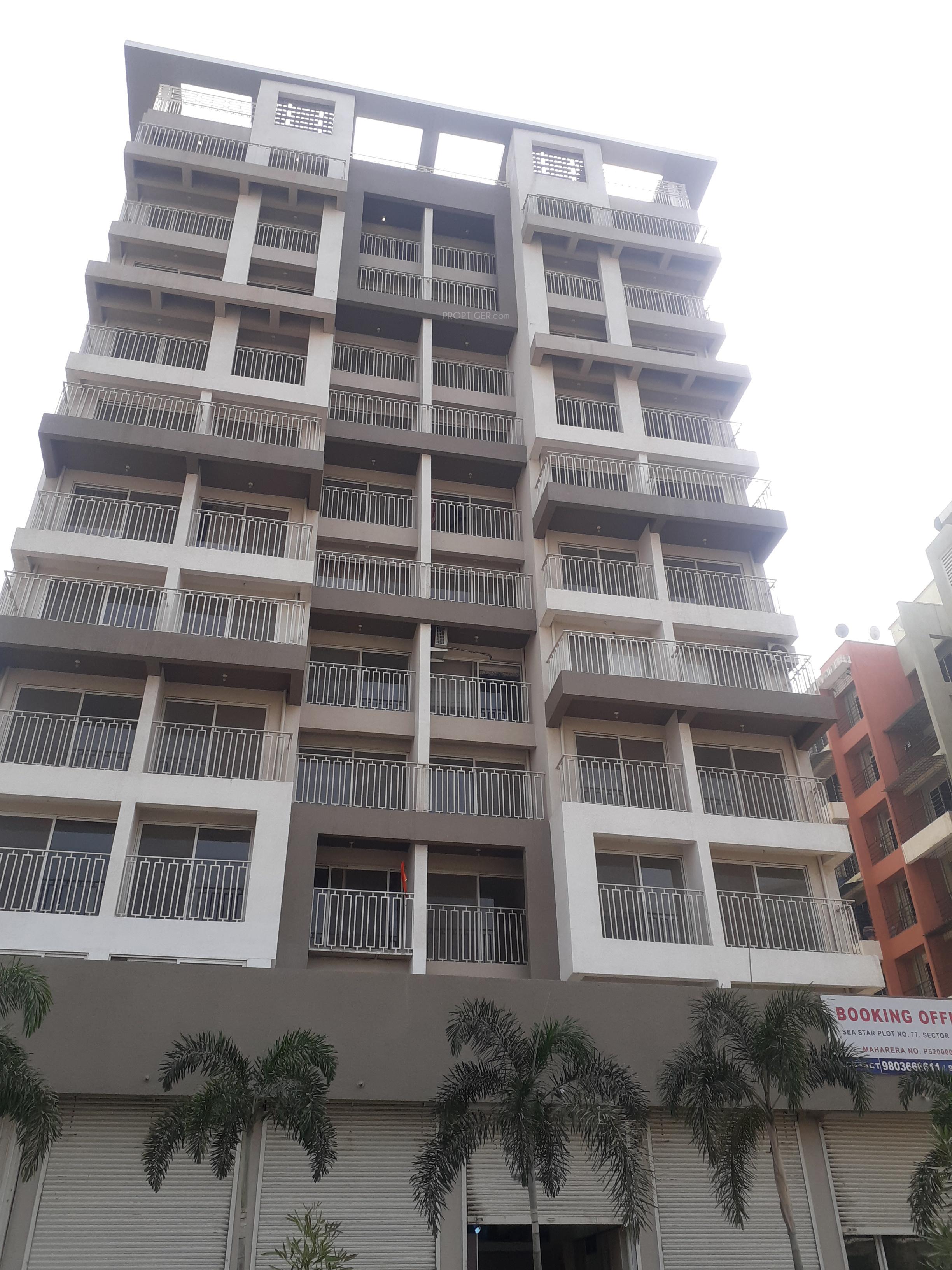 Images for Elevation of Sea Star