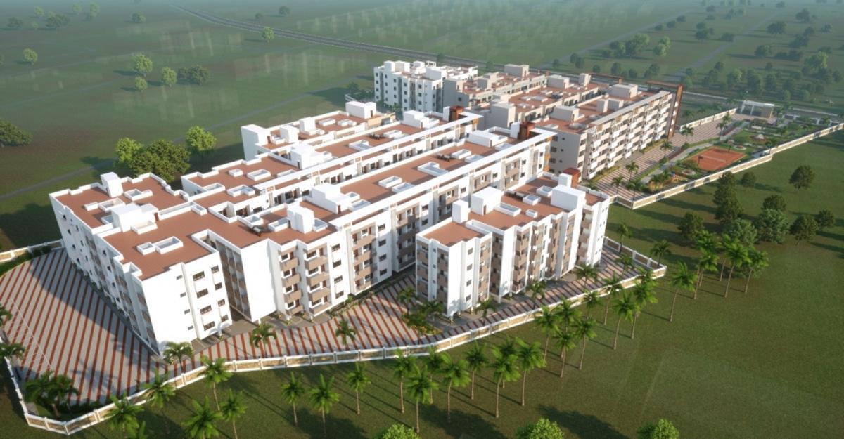 blossom Images for Elevation of Advaita Blossom