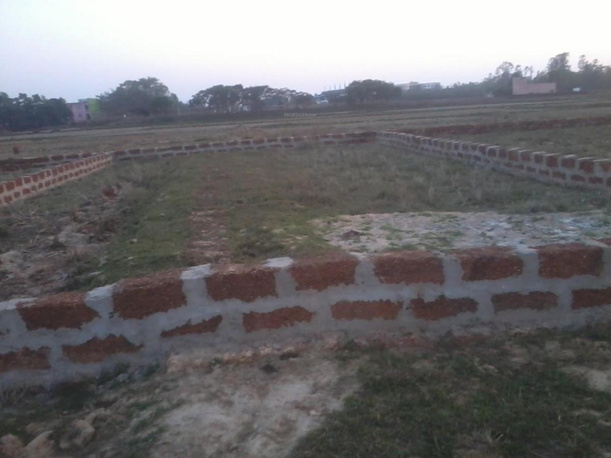 Images for Main Other of Omm Info Colony