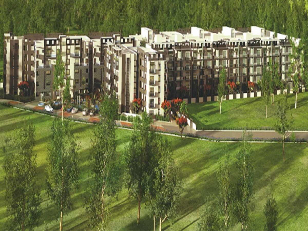 serinity Elevation