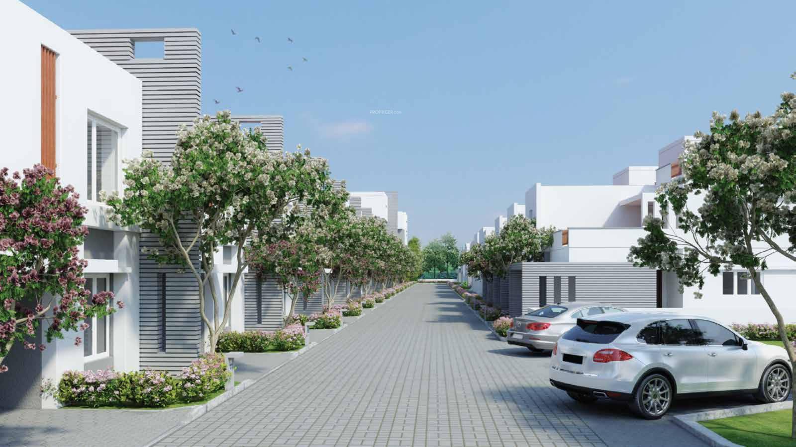 viveka-enclave Images for Elevation of Nivasan Viveka Enclave