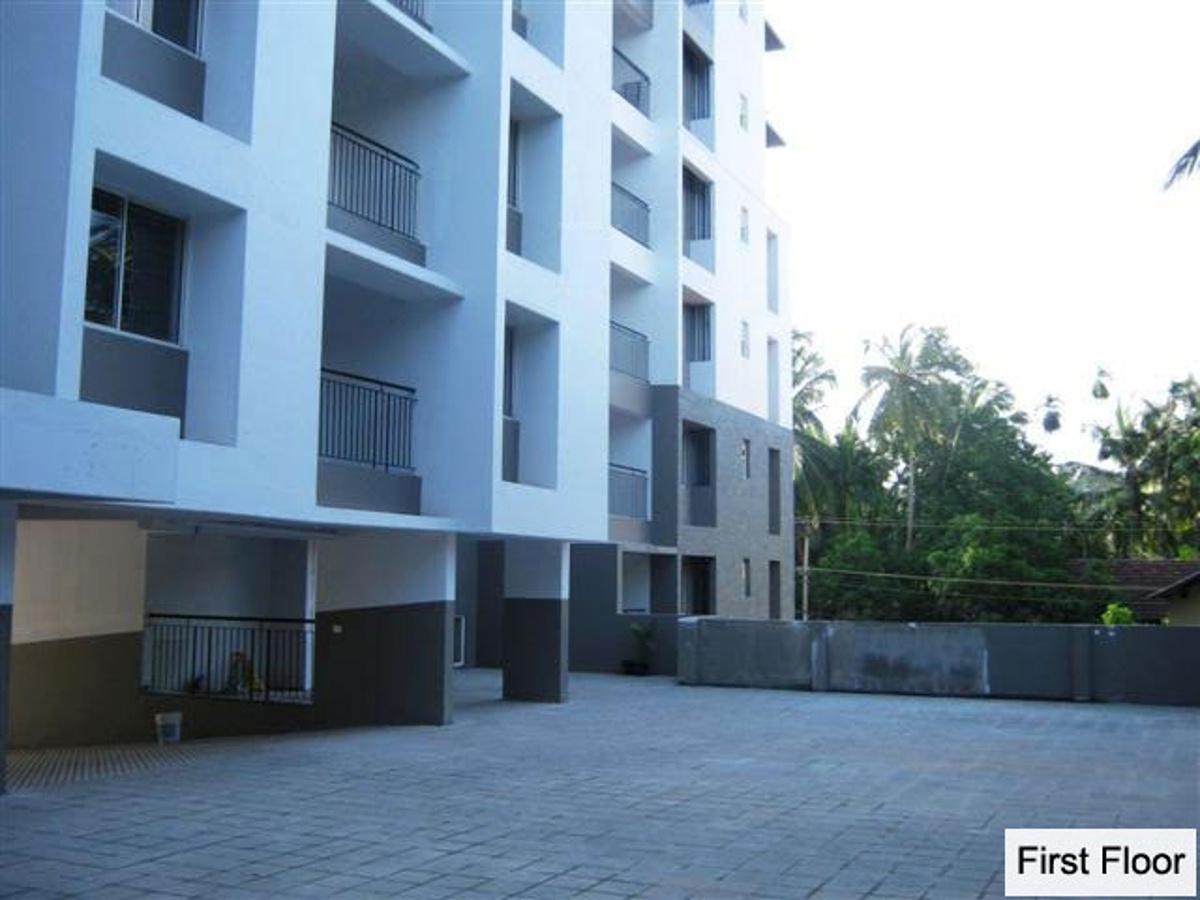 Images for Elevation of Skyline Petal