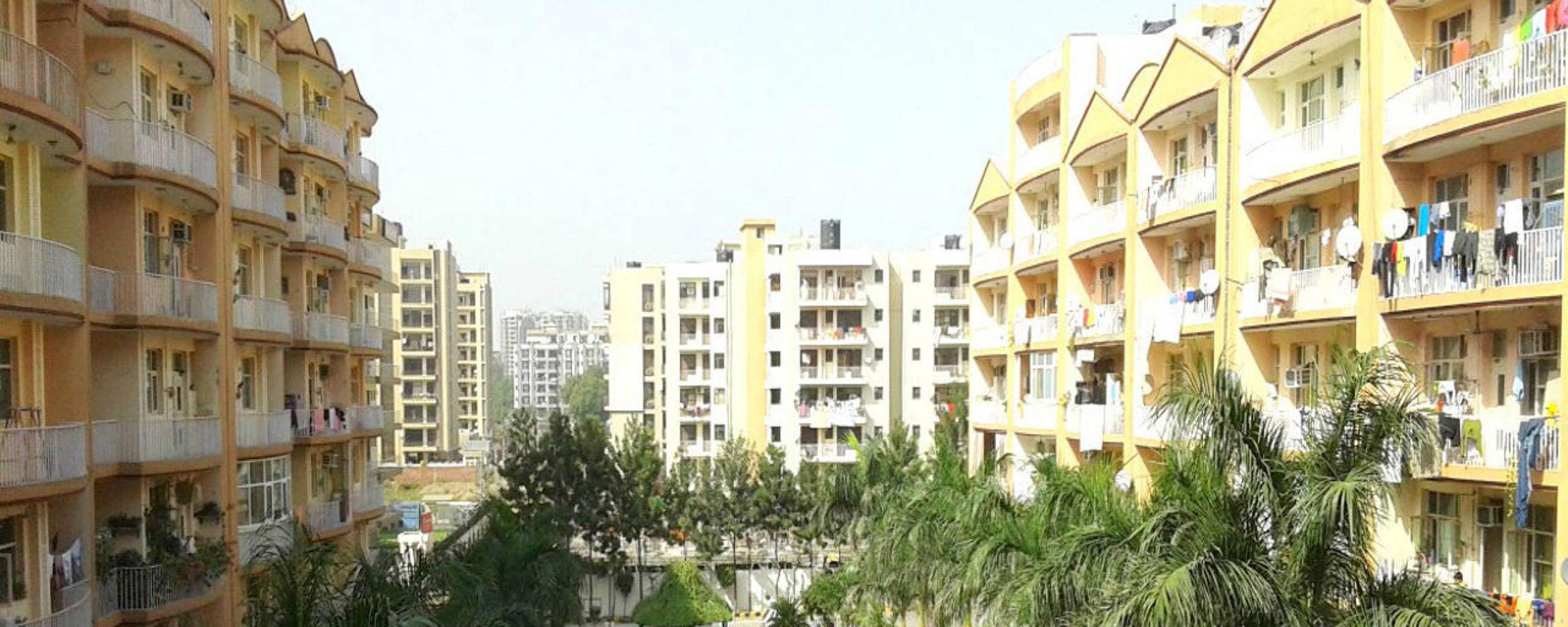 Plus Homes