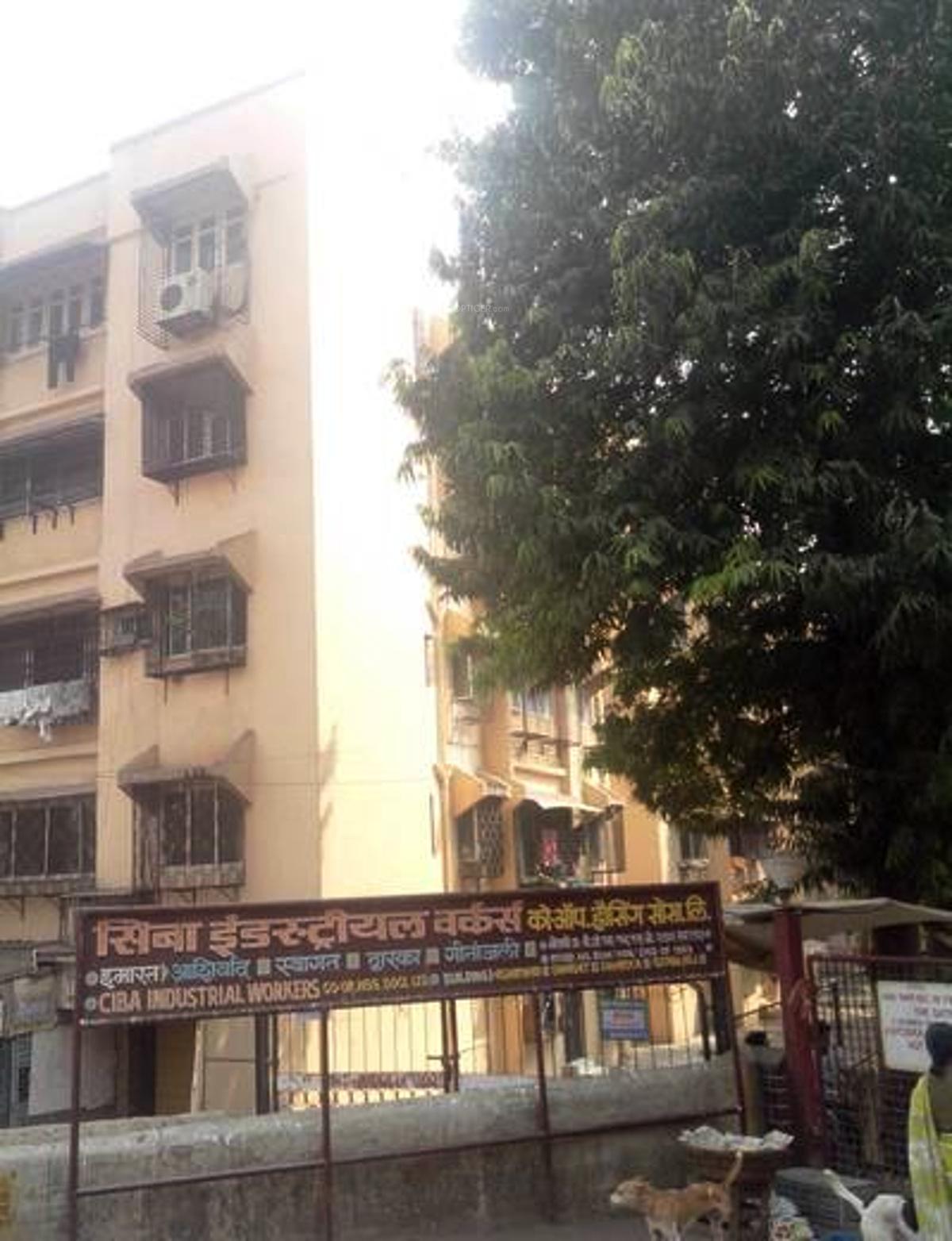 amrut-nagar-chs Elevation