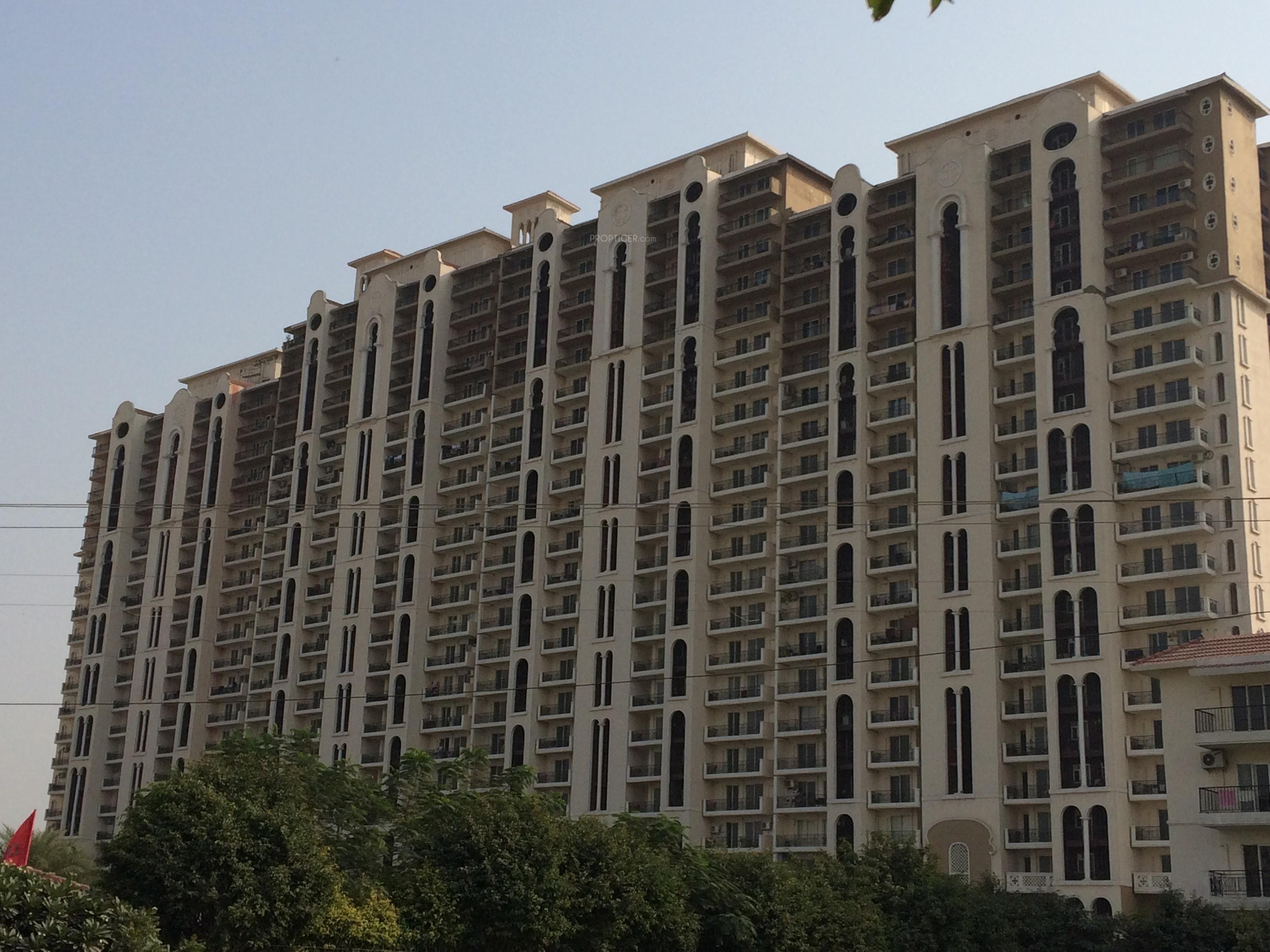 new-town-heights Elevation