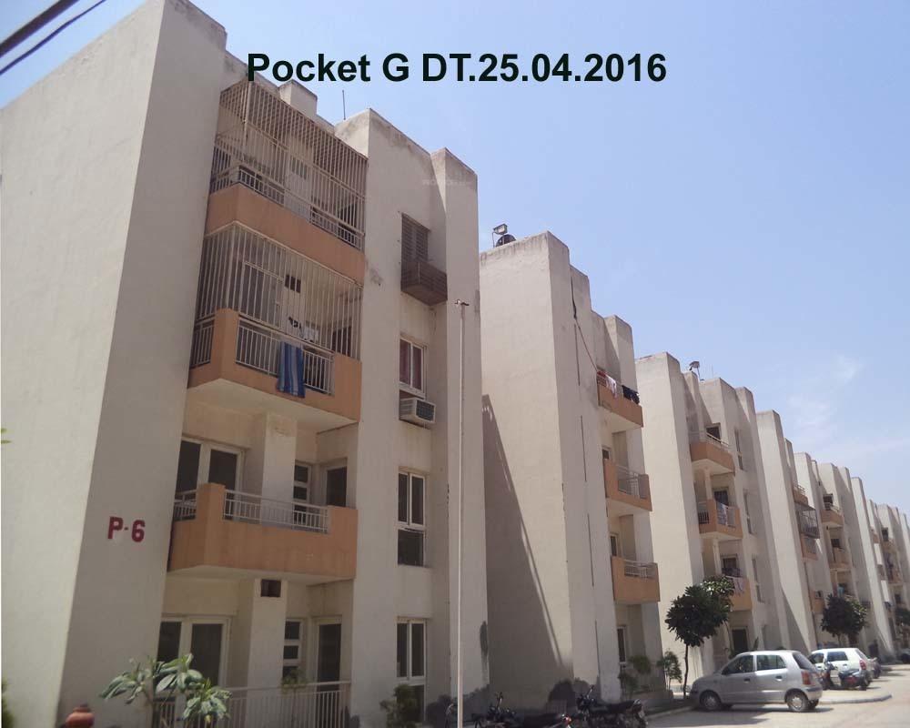 platinum-floors Elevation