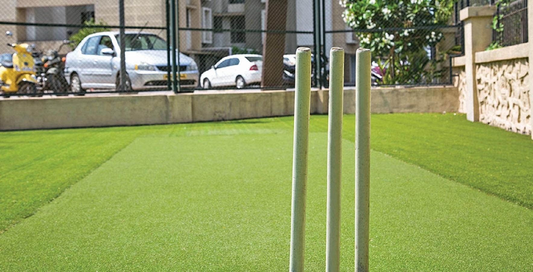 grande Cricket Pitch