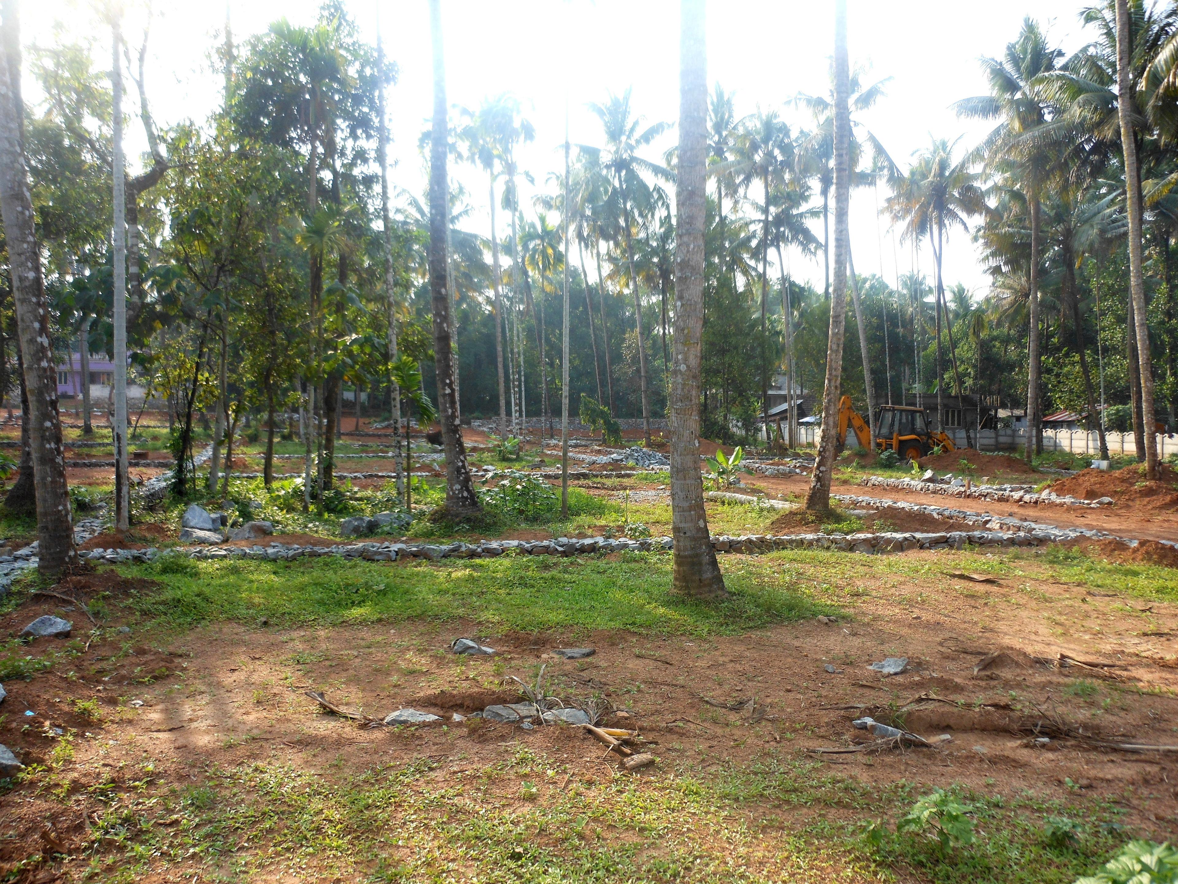 Images for Amenities of Bounteous Delight Enclave