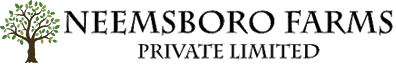 Developer Logo
