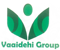 Developer Logo