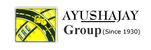 Developer Logo