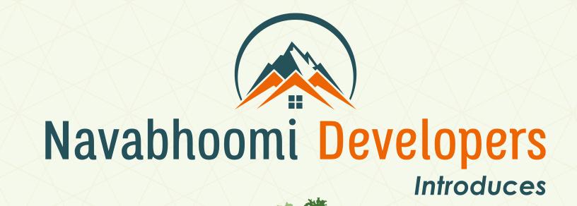 Developer Logo
