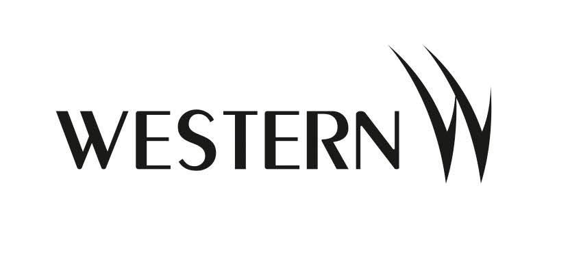 Developer Logo