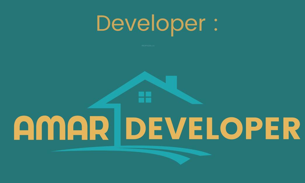 Developer Logo