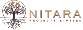 Developer Logo