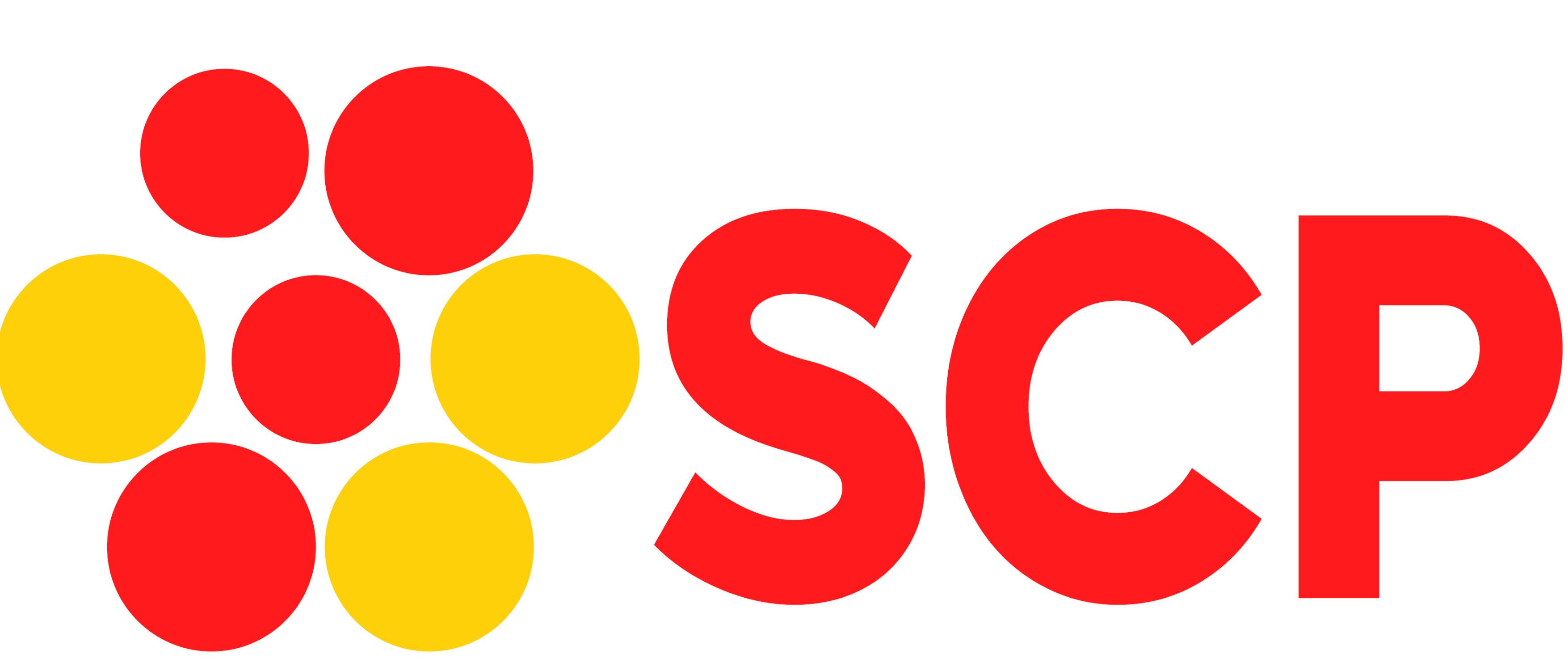 Developer Logo