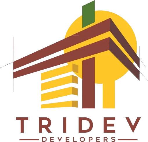 Developer Logo