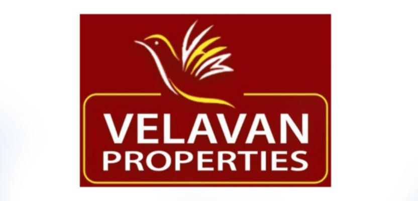 Developer Logo