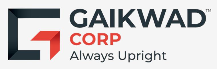 Developer Logo