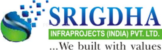 Developer Logo